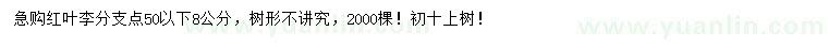求購(gòu)分支點(diǎn)50公分以下8公分紅葉李
