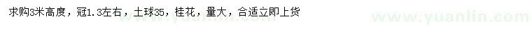 求購高3米桂花