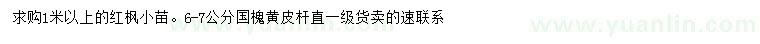 求購1米以上紅楓小苗、6-7公分國槐