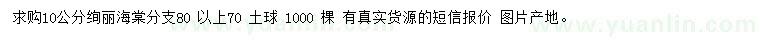 求購10公分絢麗海棠