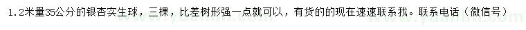 求購(gòu)1.2米量35公分銀杏