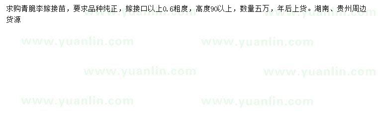 求購(gòu)0.6公分青脆李嫁接苗