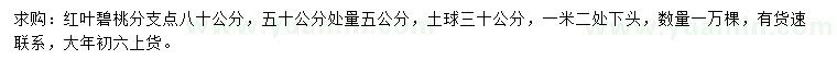 求購50量5公分紅葉碧桃