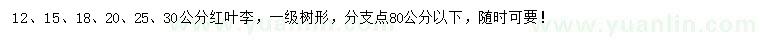 求購12、15、18、20、25、30公分紅葉李