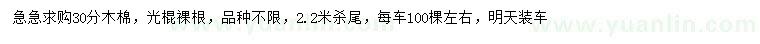 求購30公分木棉