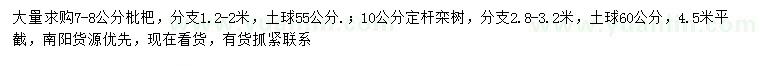 求購7-8公分枇杷、10公分欒樹