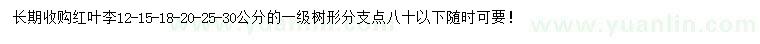 求購12-15-18-20-25-30公分紅葉李