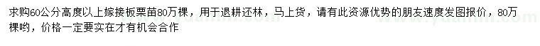 求購高60公分以上嫁接板栗苗