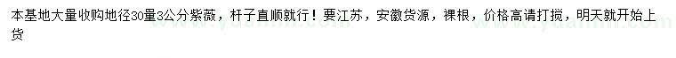 求購(gòu)30量3公分紫薇