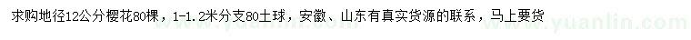 求購地徑12公分櫻花