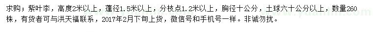 求購胸徑10公分紫葉李