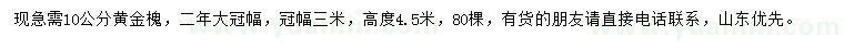 求購10公分黃金槐