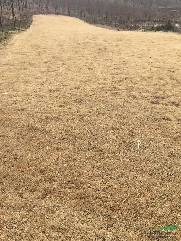 安徽滁州馬尼拉