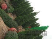 望都塔檜 望都塔檜報價