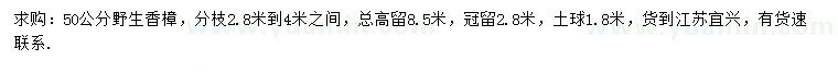 求購50公分香樟