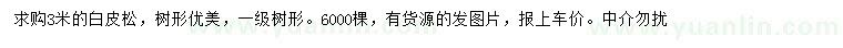 求購3米白皮松