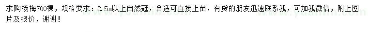 求購冠幅2.5米以上楊梅