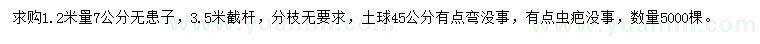 求購1.2米量7公分無患子
