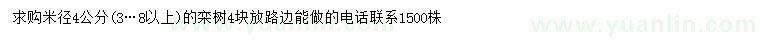 求購米徑4公分欒樹
