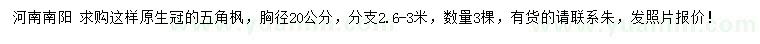求購胸徑20公分五角楓