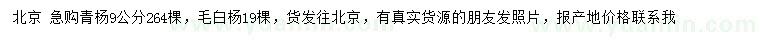 求購9公分青楊、毛白楊