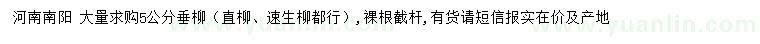 求購5公分垂柳
