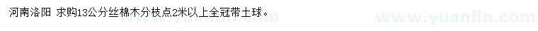 求購(gòu)13公分絲棉木