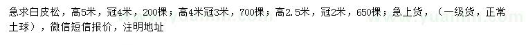求購(gòu)高2.5、4、5米白皮松