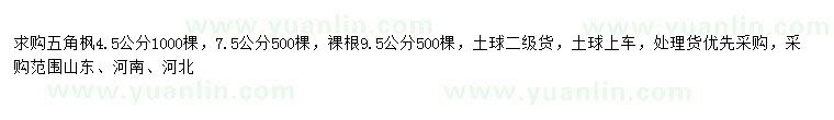 求購(gòu)4.5公分五角楓