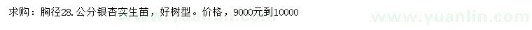 求購(gòu)胸徑28公分銀杏