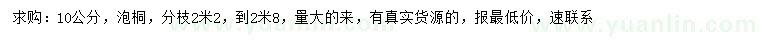求購10公分泡桐