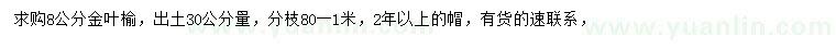 求購(gòu)出土30公分量8公分金葉榆