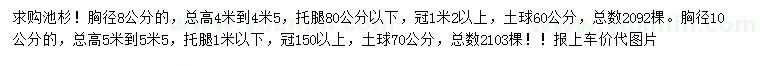 求購胸徑8、10公分池杉