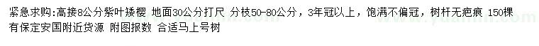 求購地面30公分量8公分高接紫葉矮櫻