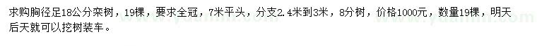 求購(gòu)胸徑足18公分欒樹