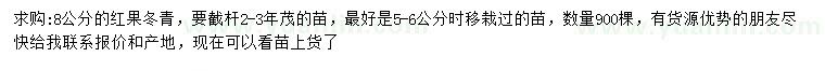 求購(gòu)8公分紅果冬青
