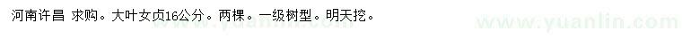 求購16公分大葉女貞