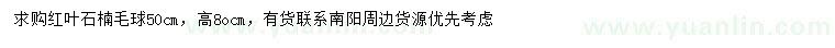 求購(gòu)50公分紅葉石楠毛球