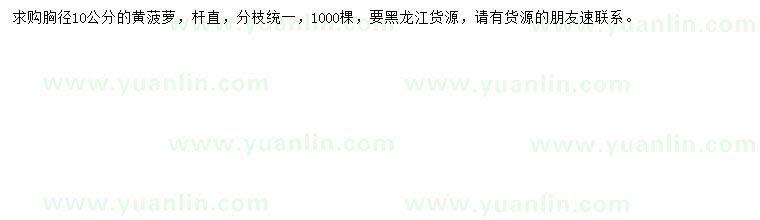 求購(gòu)胸徑10公分黃菠蘿