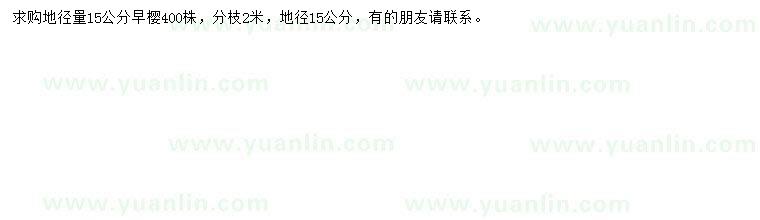 求購地徑量15公分早櫻