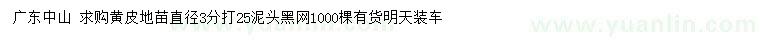 求購直徑3公分黃皮地苗