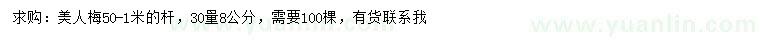 求購30量8公分美人梅