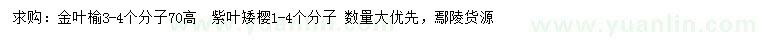 求購(gòu)3-4公分金葉榆、1-4公分紫葉矮櫻