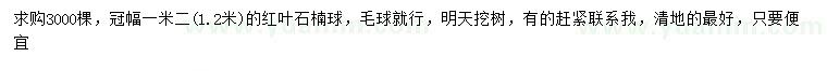 求購冠幅1.2米紅葉石楠球