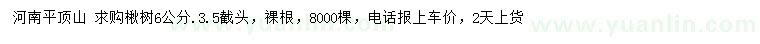 求購(gòu)6公分楸樹(shù)