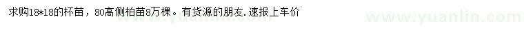 求購高80公分側柏苗