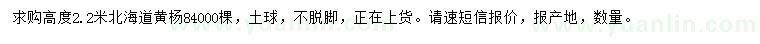 求購高2.2米北海道黃楊