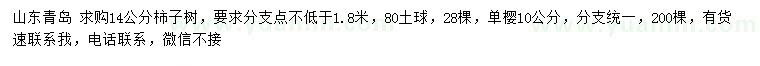 求購(gòu)14公分柿子樹(shù)、10公分單櫻