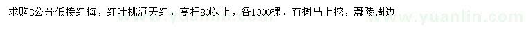 求購(gòu)3公分低接紅梅