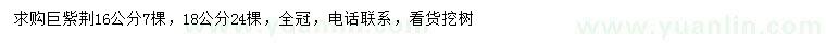 求購(gòu)16、18公分巨紫荊